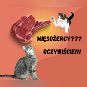 Read more about the article Kocia dieta