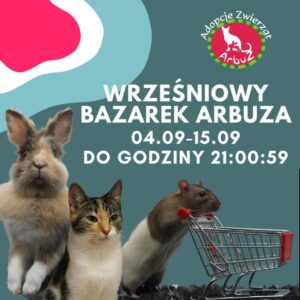 Read more about the article Wrześniowy Bazarek Arbuza rusza 4 września!