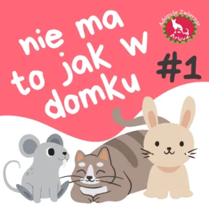 Read more about the article Arbuziaki w nowych domkach cz. 1